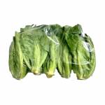 Vegetables