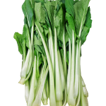 Vegetables