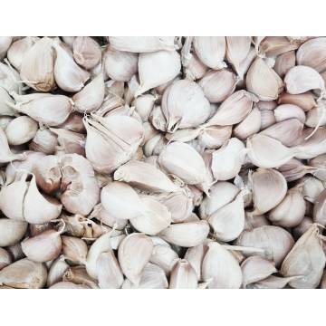 Garlic (~200gm)