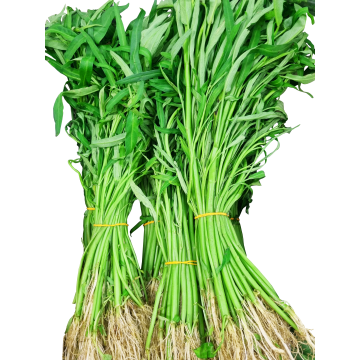 Kang Kong (~ 400gm)