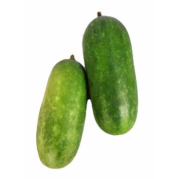 Hairy Gourd (1 pcs)