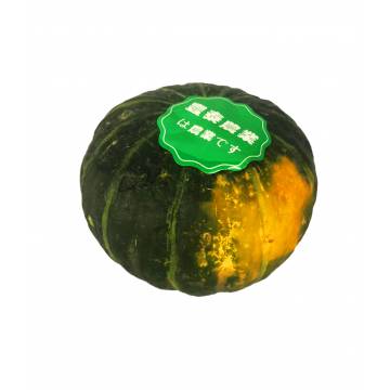 Japanese Pumpkin (1 pcs)