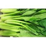 Vegetables