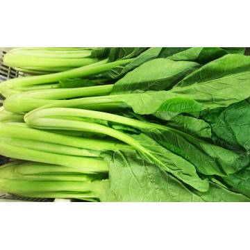 Chye Sim (~300gm)