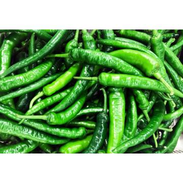 Green Chilli (~100gm)