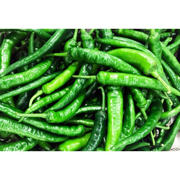 Vegetables