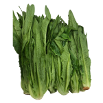 Vegetables