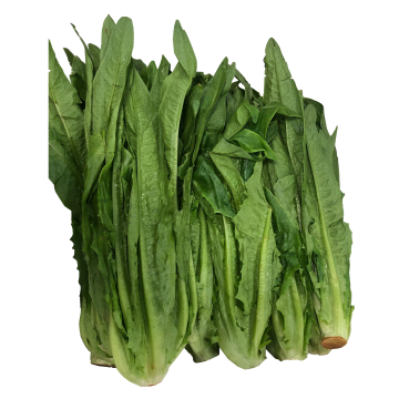 Xiang Mai (~200gm)
