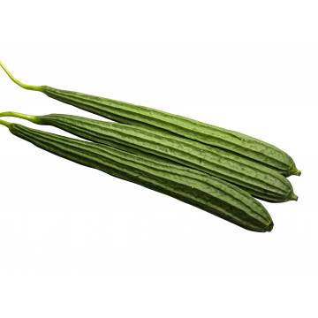 Angled Gourd (1 packet)
