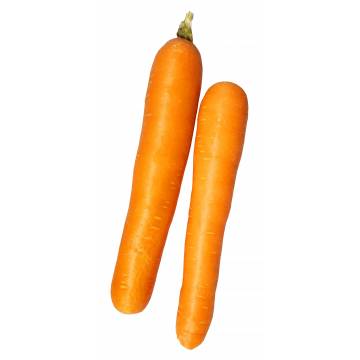 Australia Carrot (~500gm)