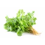 Vegetables