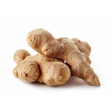 Old Ginger (~300gm)