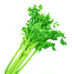 Vegetables