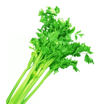 Chinese Celery (~100 gm)