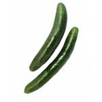 Vegetables