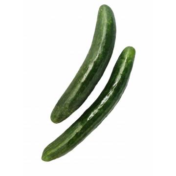 Japanese Cucumber (2 pcs)