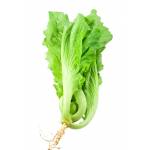 Vegetables