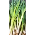 Vegetables
