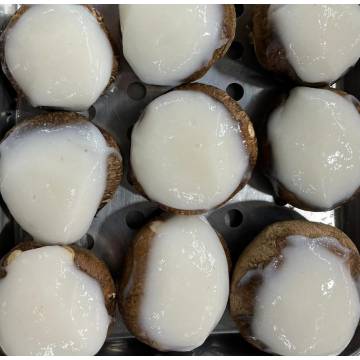 YTF Mushroom Fish Paste (1 pcs)