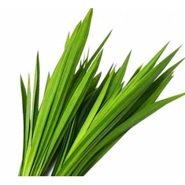 Pandan Leaves (~500gm)