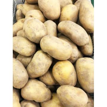 Potatoes (~500gm)