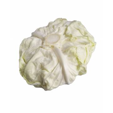 Cabbage (~1kg)