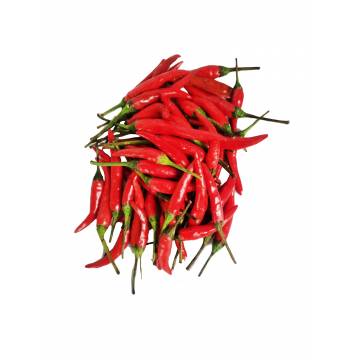 Red Chilli Padi (~100gm)