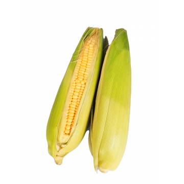Sweet Corn (2 pcs)