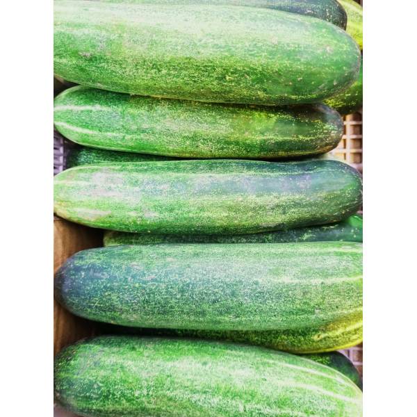 Vegetables