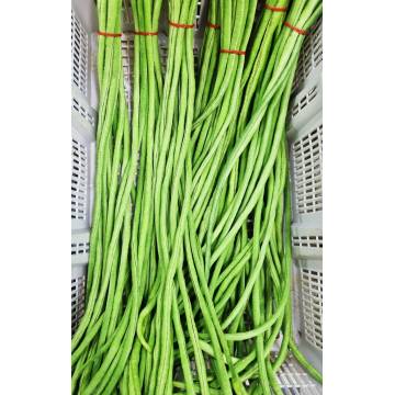 Long Bean (~200gm)