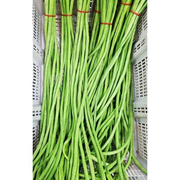 Vegetables