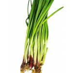 Vegetables