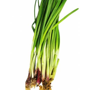 Spring Onion (~100gm)