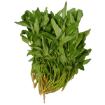 Vegetables