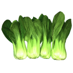 Vegetables